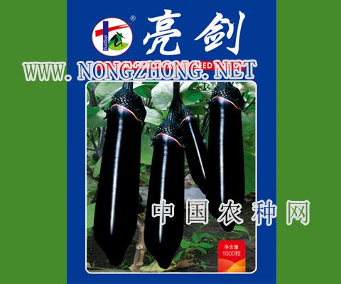 亮剑